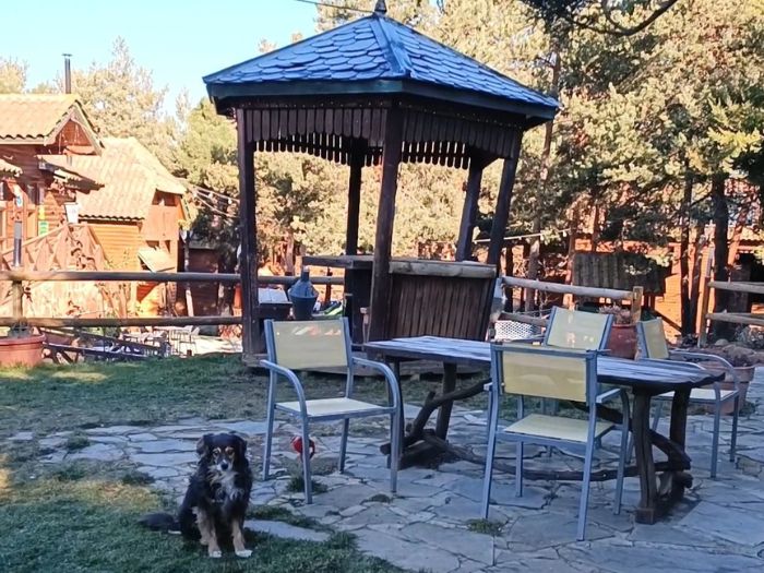 Xalet de Prades mascotas