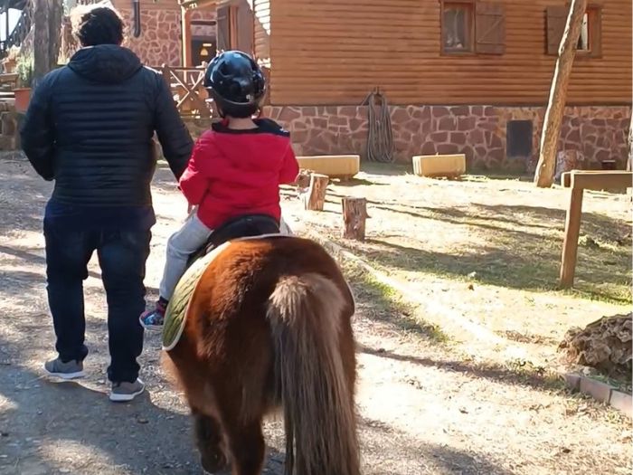 Xalet de Prades pony